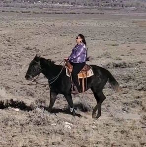 Meet your Posher, Wayland